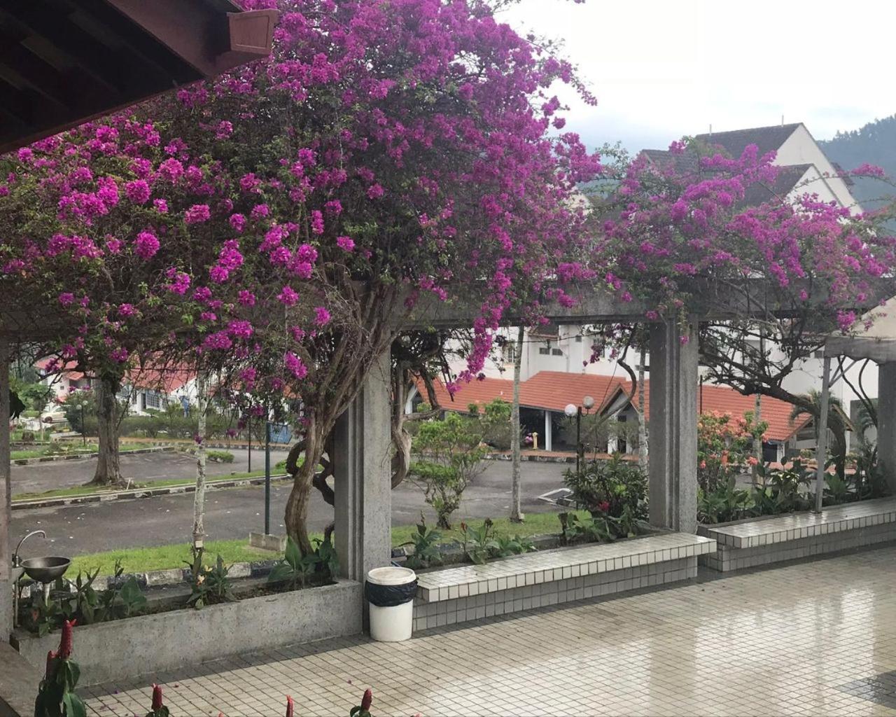 Selesa Hillhome Loft in Bentong,Janda Baik,Genting Exterior foto